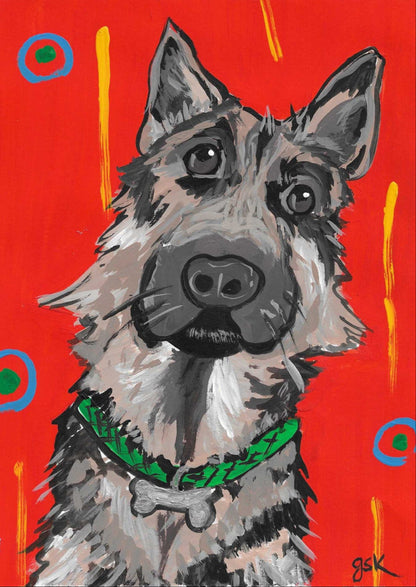 German Shepard